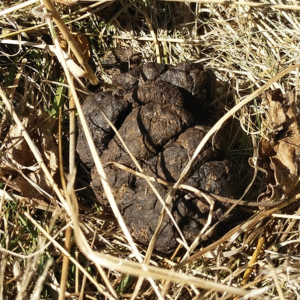 terres-batiments-activite-cidricole-5