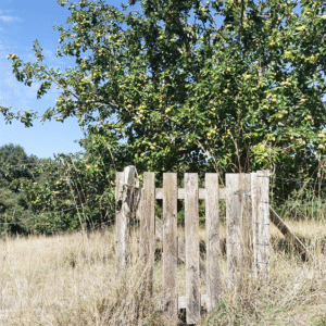 terres-batiments-activite-cidricole-7